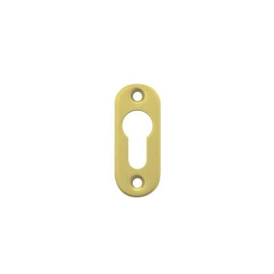 08501401-key-hole-on-rosette-in-polish-brass