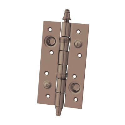 09210005-security-hinges-with-crown-tip-with-square-shaped-in-leather