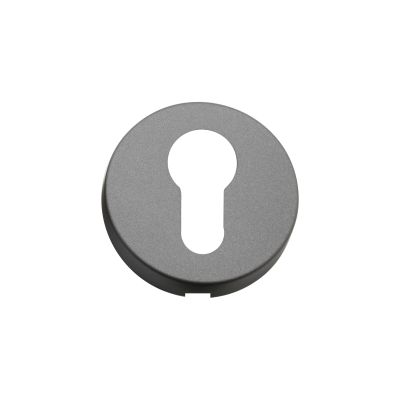 24001428-rosette-of-50-mm-with-key-hole-yale-in-graphite