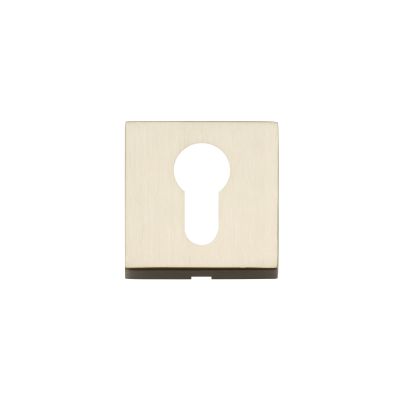 25401409-square-rosette-with-key-hole-yale-in-matt-satin