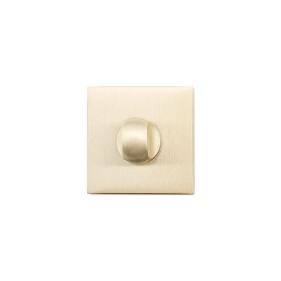 25401509-set-square-rosette-with-locking-knob-emergency-button-in-matt-satin