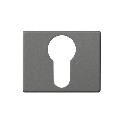 30001428-square-rosette-of-50x35-mm-with-keyyale-in-graphite